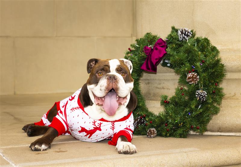 Krista Newkirk tweet media