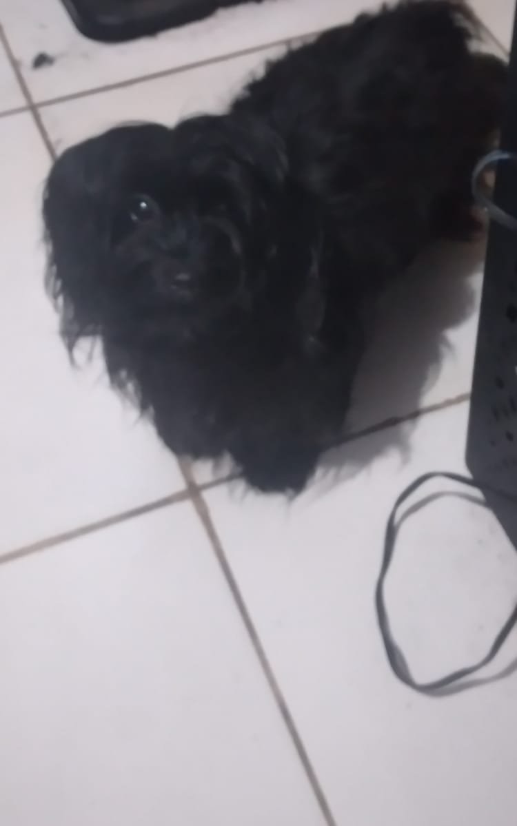rubylistic's tweet photo. shes autistic :( https://t.co/SgwFHlhnnM