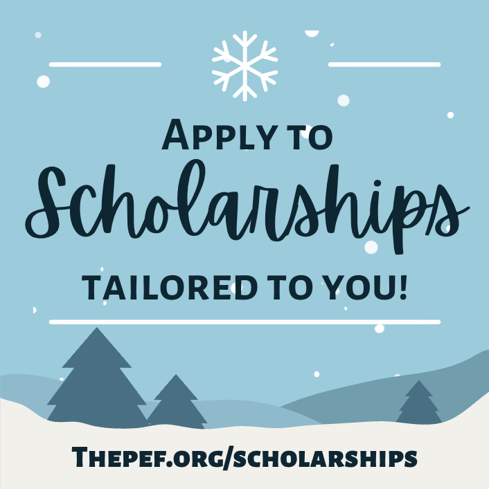 The Public Education Foundation tweet media