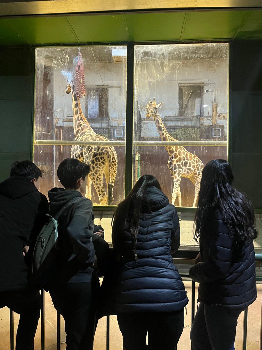 Excursión al Zoo de 1 de Bachillerato, con varios profesores. Una de las salidas más esperadas. #Madridunlibroabierto