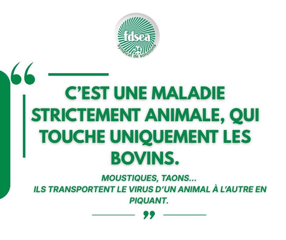 FDSEA 34 tweet media