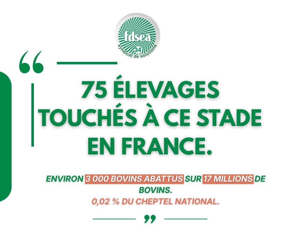 FDSEA 34 tweet media