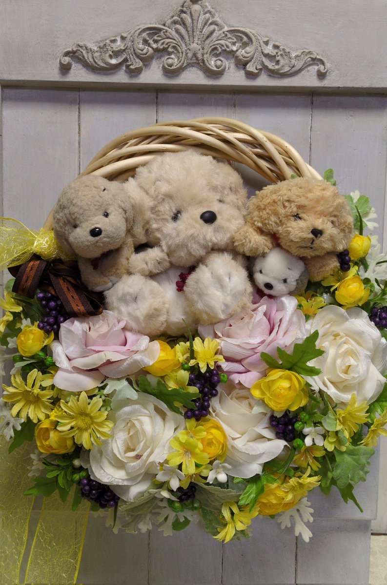 うめ吉 うめ吉に癒やされてね…☺