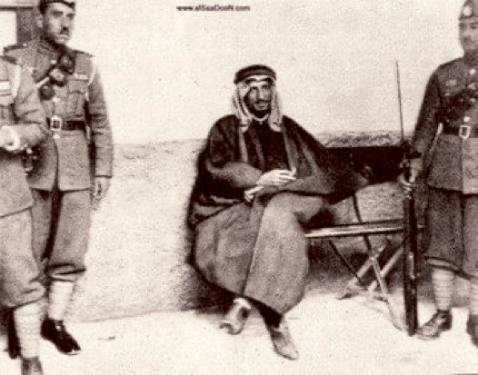 البطران tweet media