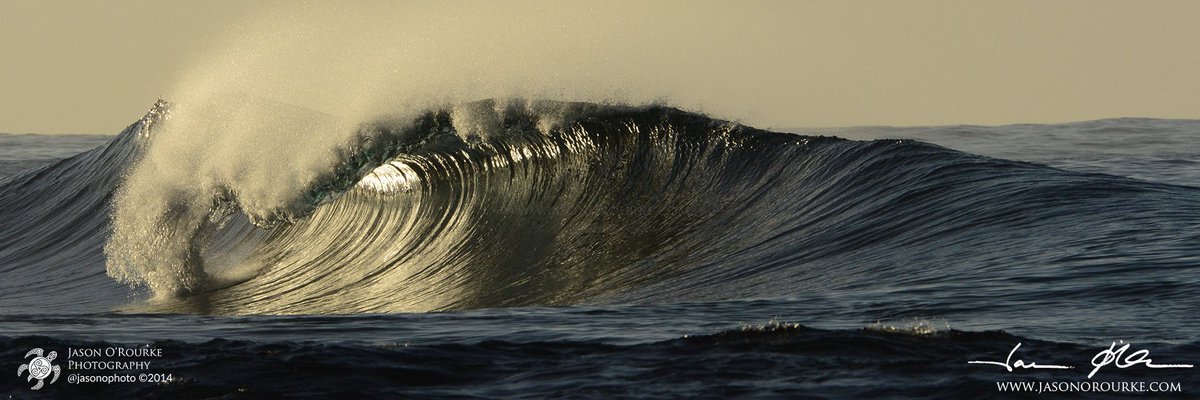 Jason O'Rourke tweet media