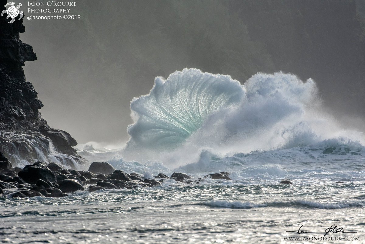 Jason O'Rourke tweet media