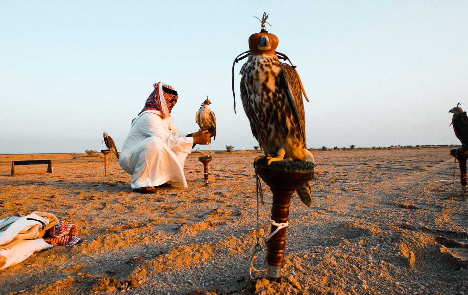 "الداخلية" تحذر من "المقناص" في العراق دون تصريح 