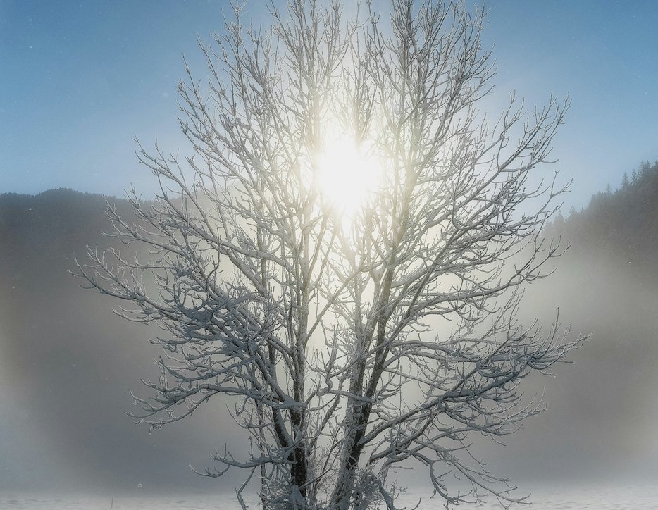 As the Light Turns - mailchi.mp/purestpotentia…