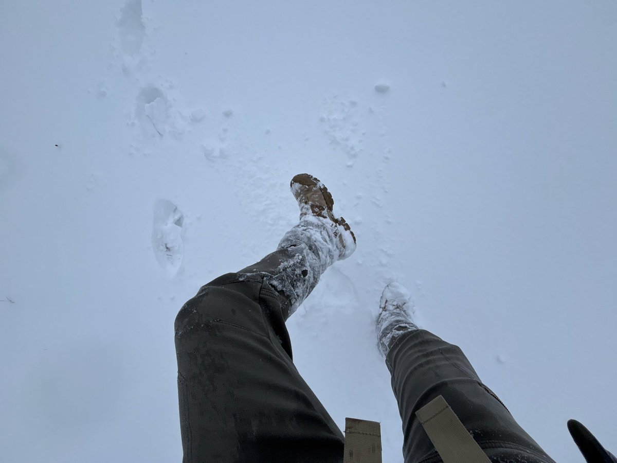 Marie199010's tweet photo. 大雪だった数週間前
フランス寒い
てか、ここが寒い https://t.co/uCAThmE9du