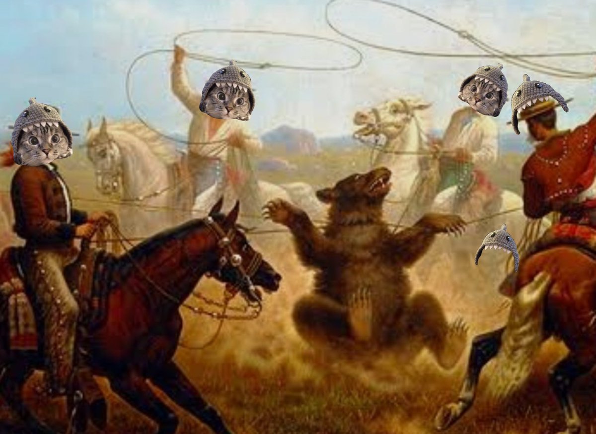 SharkCatSolana's tweet image. You must take the bear alive to find their leader 🦈😺