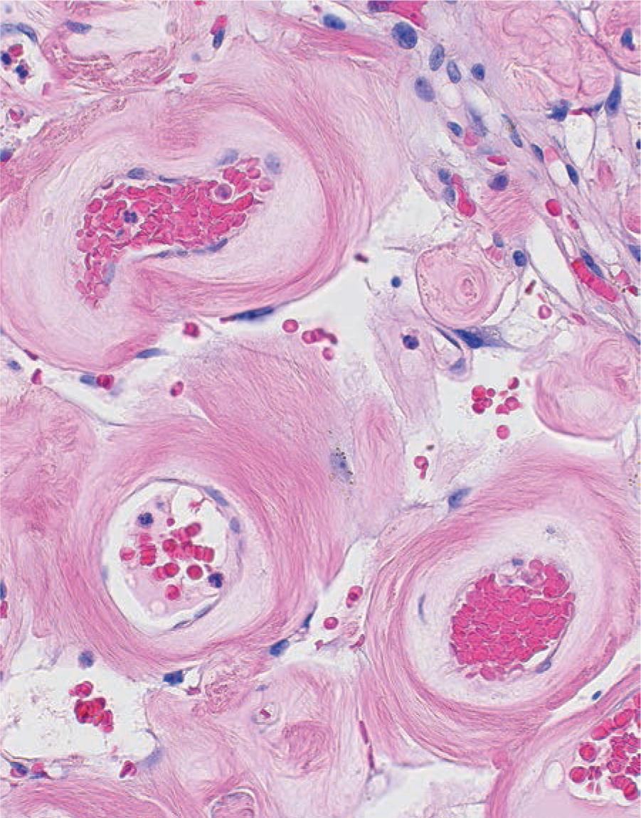 ARP Press tweet media