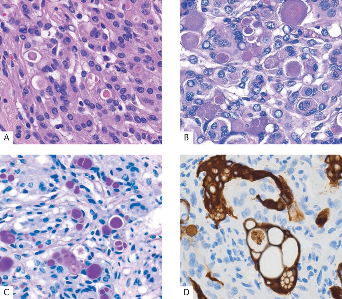 ARP Press tweet media