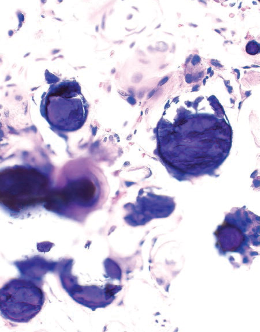 ARP Press tweet media