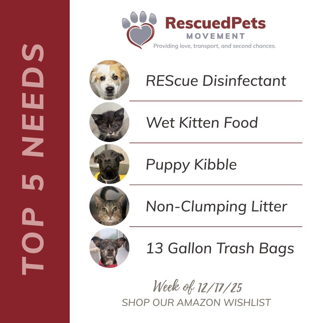 RescuedPetsMovement tweet media