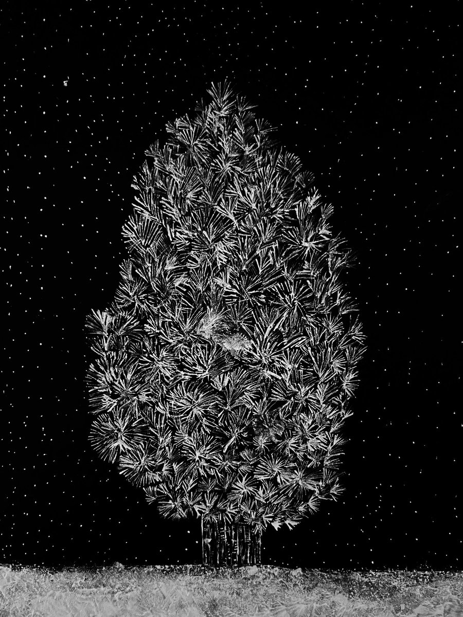 verknfts8's tweet photo. Snow on Pine❄️🌲

Open Edition✨

⏳ 14 days only

0.40 $Tez

A quiet pine under falling snow.
Edition closes forever after 14 days.

Mint on @objktcom 

#VerkInkArt

#NFTart #ChristmasArt #WinterNFT https://t.co/jOC0WaOGQp