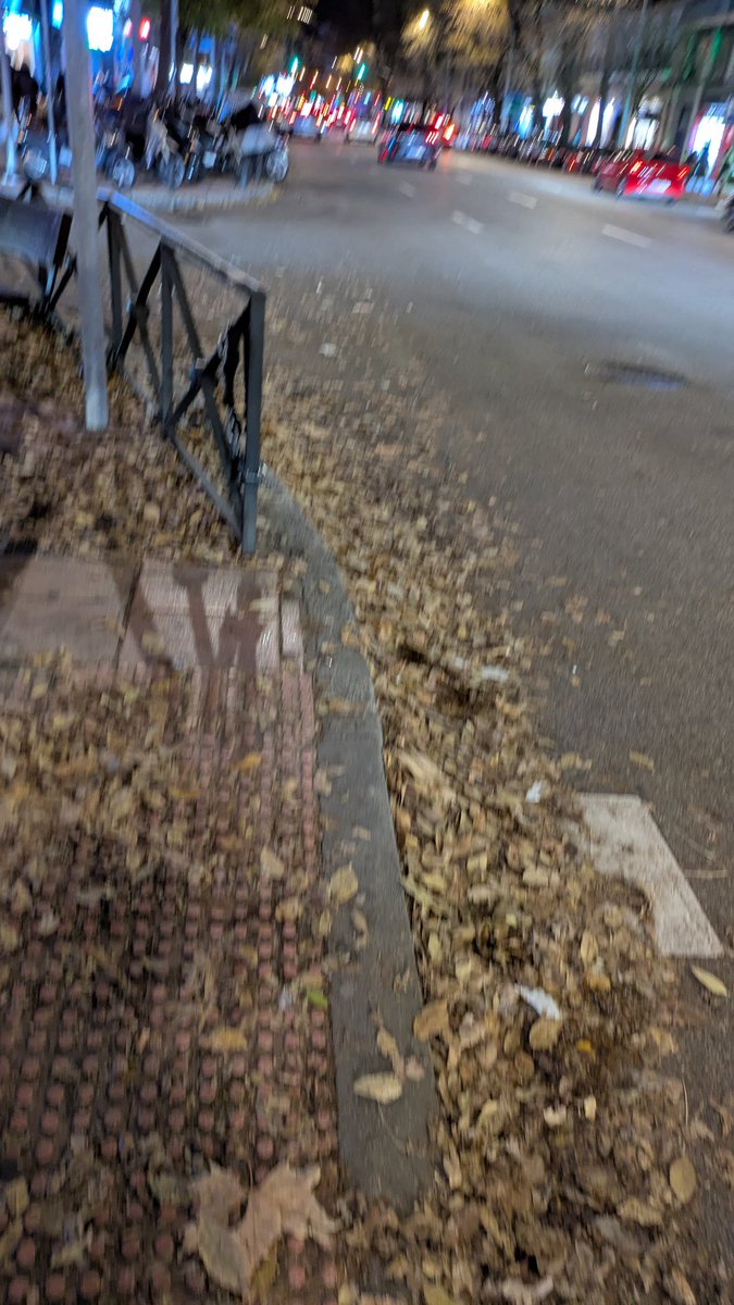gemadequevedo's tweet photo. En Chamberí no sabemos lo que es un barrendero @MADRID https://t.co/Pa4cSi4hha