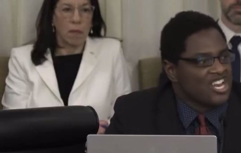 GrageDustin's tweet image. Minnesota Department of Human Services Commissioner Shireen Gandhi was NOT HAPPY with that testimony. 😂