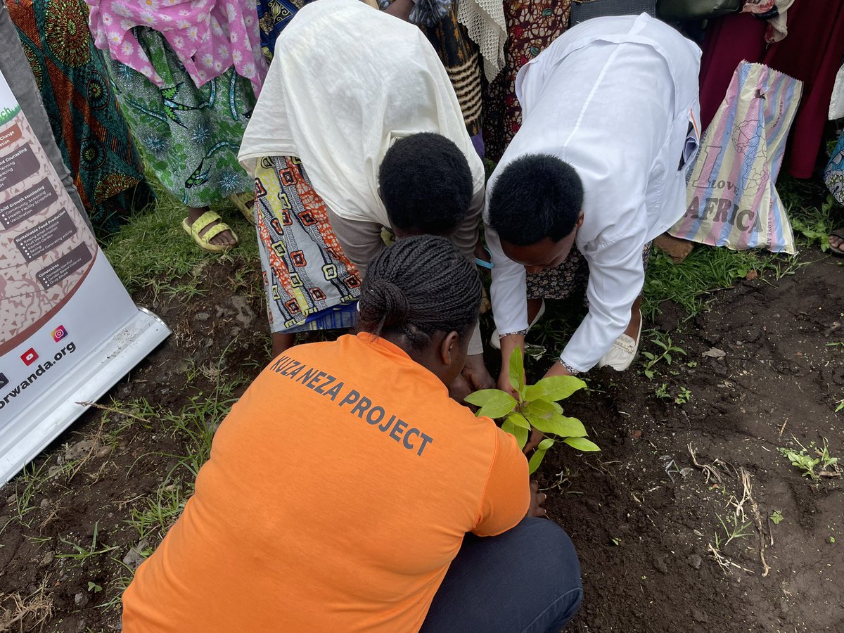 HP_Organi's tweet photo. Planting fruit trees is a powerful symbol of sustainable food security and climate change solutions. In collaboration with @Health_PC, the #KuzaNezaProject supports community access to fruit trees to combat malnutrition while addressing climate change challenges at @NyabihuDistrict. @Rwanda_Child @RwandaAgriBoard @aeerwanda @oneacrefundRW @FXBRwanda @Silverkarumba1 @BrianChirombo @nsanzimanasabin @RBCRwanda @RwandaYouthArts