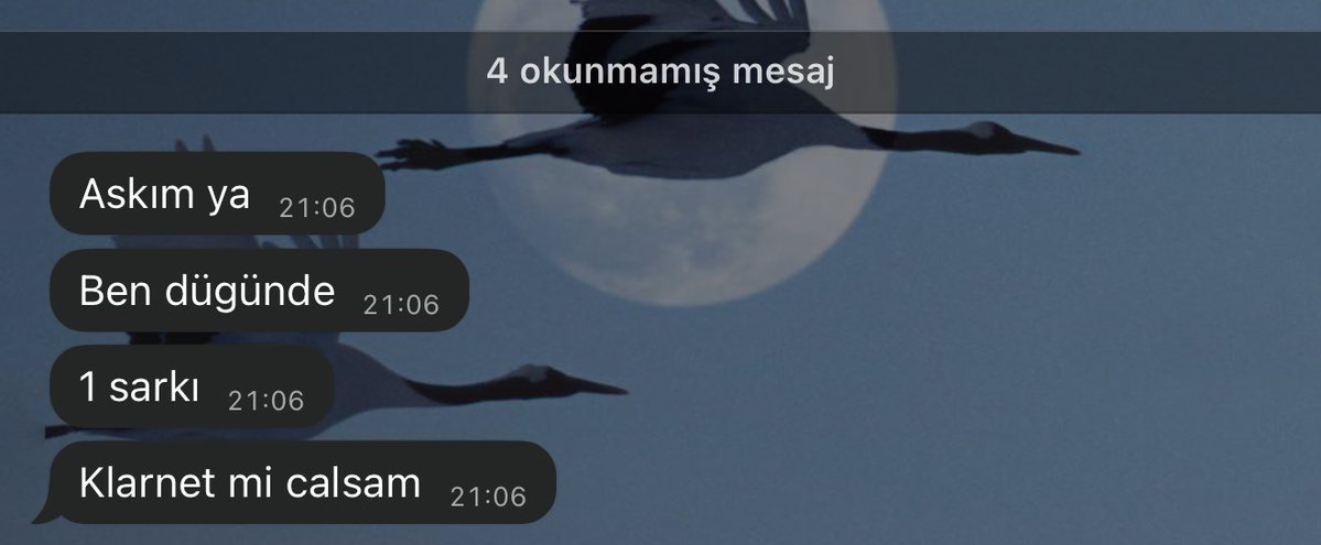 zbdk7's tweet image. 4 yeni mesaj