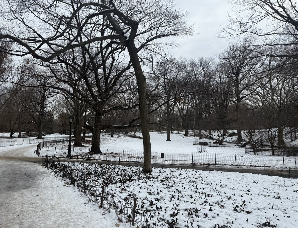 with_out_a_crystal_ballz tweet media