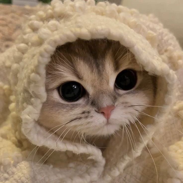 m 🫧🧹 (@itrygraphics) on Twitter photo 