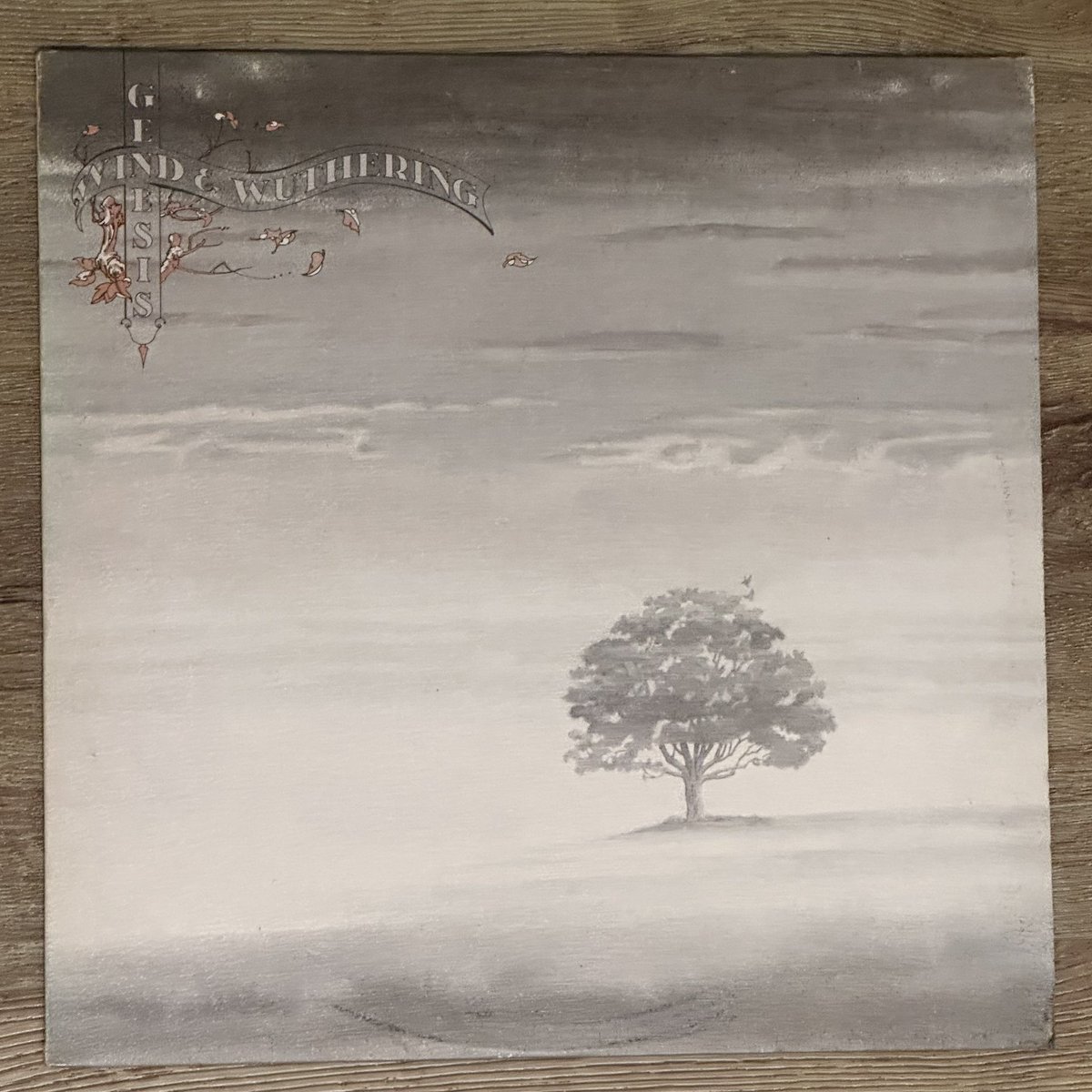 primarily_prog's tweet image. Now playing … 

… the last truly great Genesis album, released 49 years ago today.