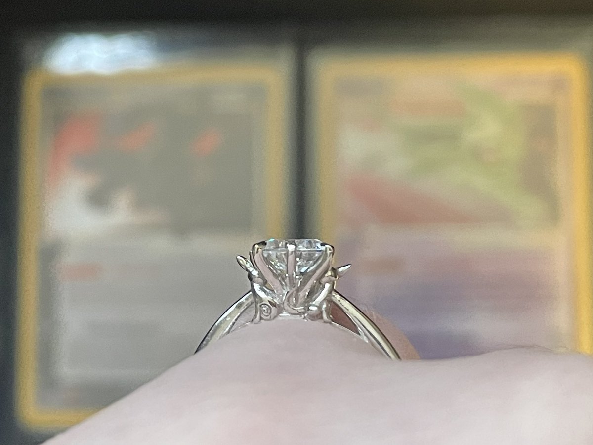 Evie🧃🐝‘EverstoneEevee’ ◓⃙ tweet media