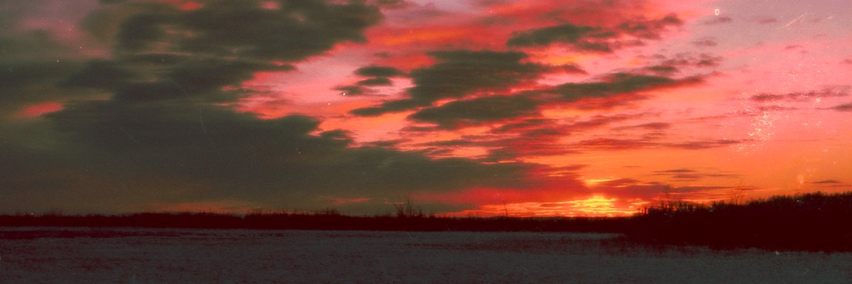 willllliam's tweet image. some of my favorite film photos