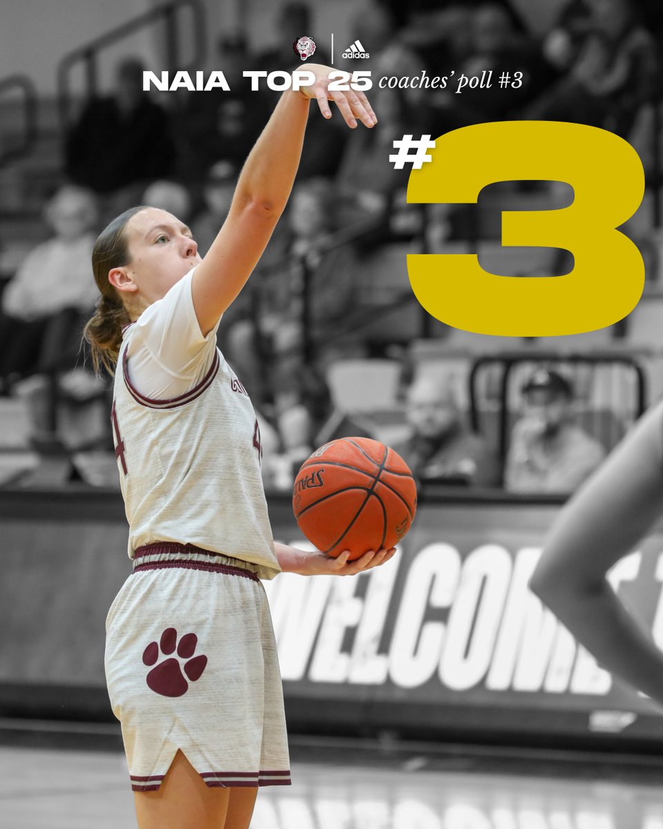 Lady Tiger Basketball remains 3rd in newest NAIA Poll
campbellsvilletigers.com/news/2025/12/1…