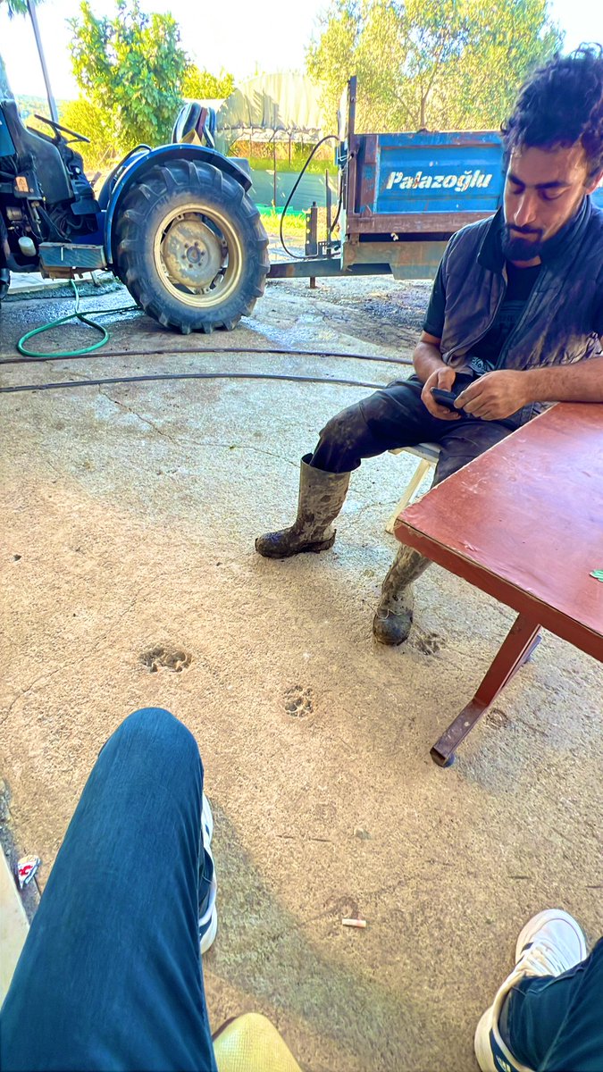 manitanın beni kıskandığı ortam