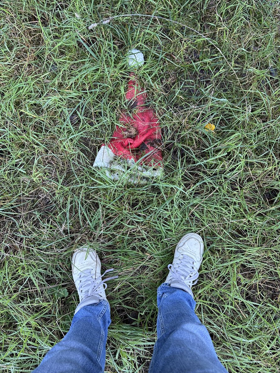 Seray Sarı tweet media