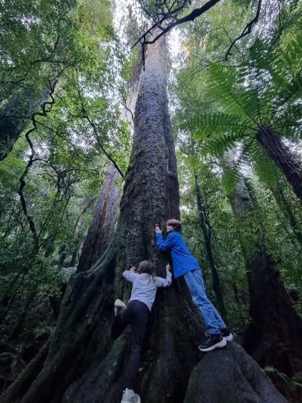 Our Kids' Climate tweet media