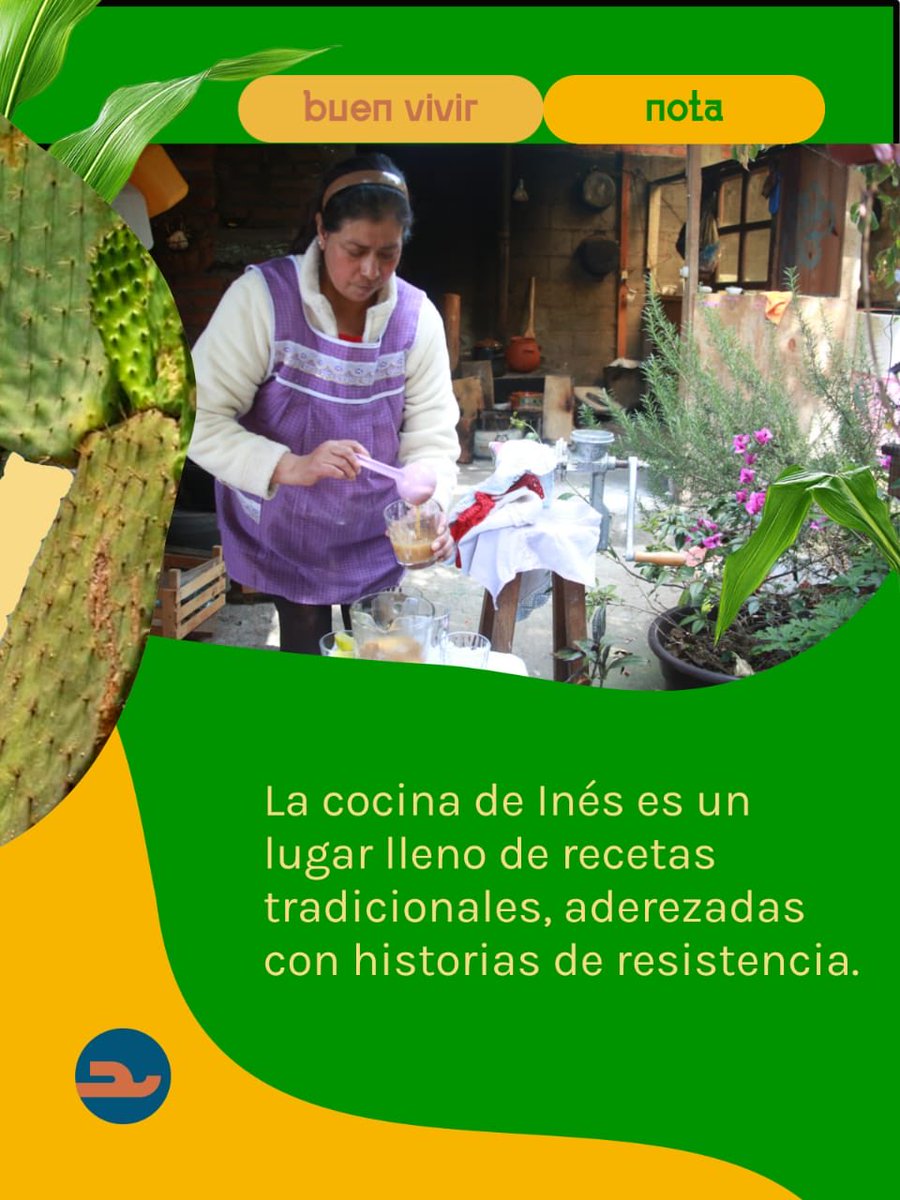 LaCeiba_Lat's tweet photo. 👩🏾‍🍳 La cocina de Inés es un lugar lleno de recetas tradicionales, aderezadas con historias de resistencia que ocurrieron en #Cherán, un municipio plagado de lucha y misticismo, ubicado en la región de la Meseta Purépecha del estado de #Michoacán.

👉 Lee más sobre la cocina de Inés en: https://t.co/ciZ5sM7RwK

#CocinerasTradicionales #Tradiciones #ComidaTradicional #PuebloPurépecha #Michoacán #Cherán #HornoDeLeña