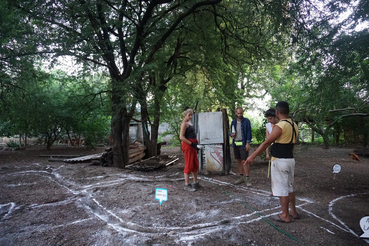 ProgramaVACA tweet media