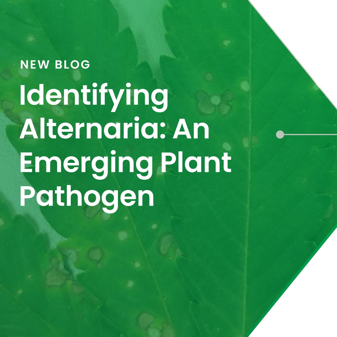 Medicinal Genomics tweet media