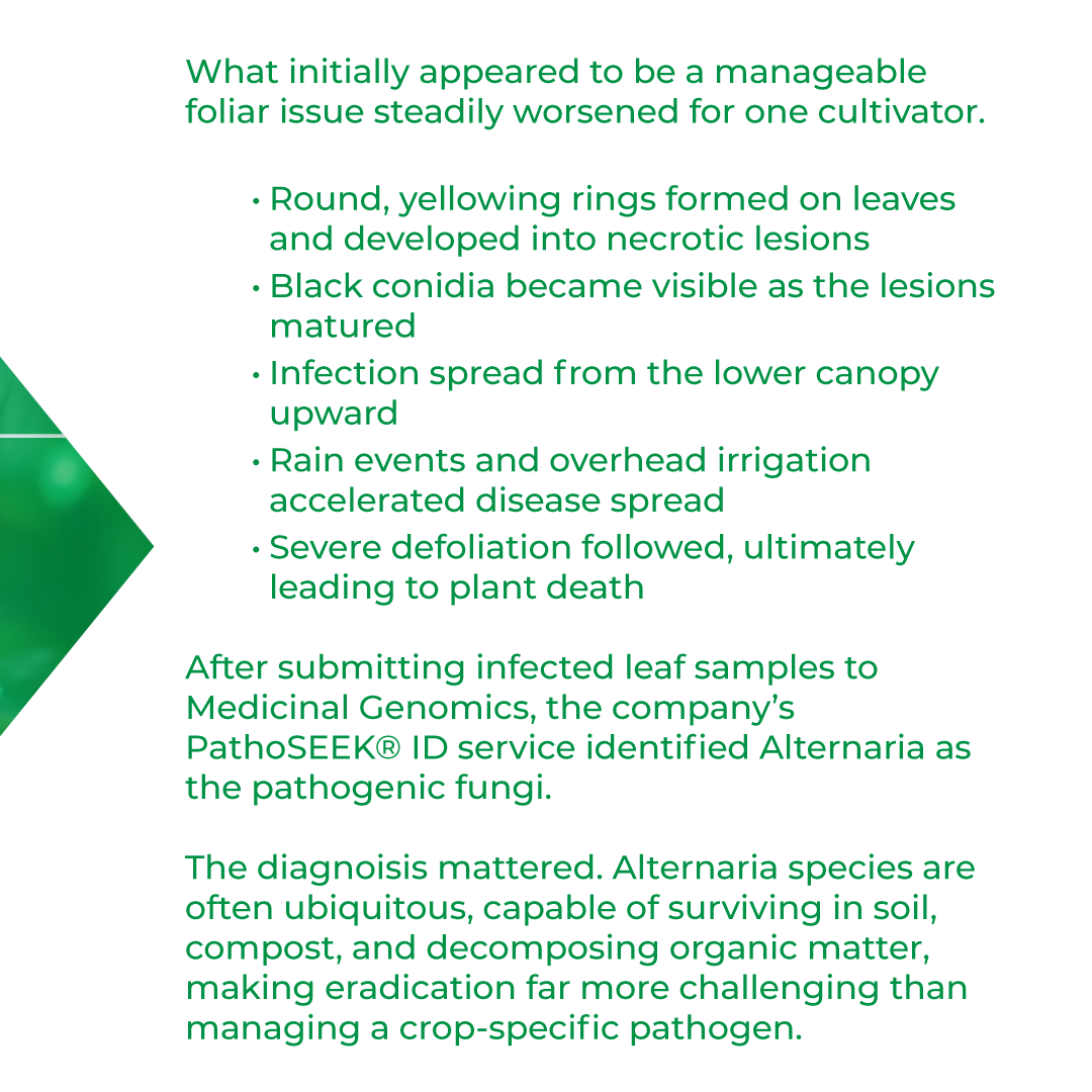 Medicinal Genomics tweet media