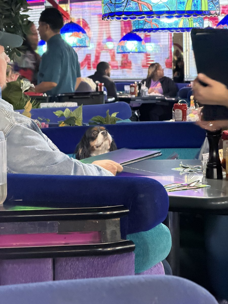 TheFitnessJurk's tweet image. Thoughts? At Peppermill rn @ZENofLEN @depaulo_ryan