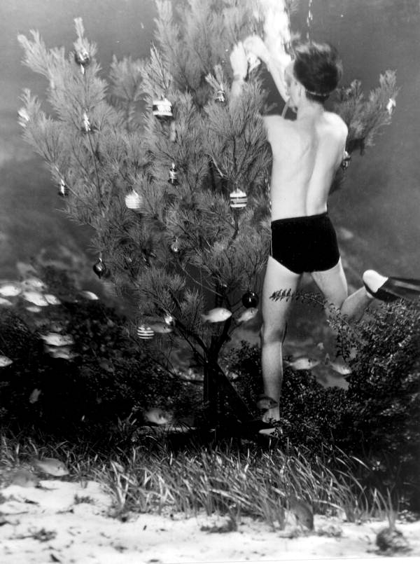 StateLibraryFL's tweet image. Look at these unique Christmas trees from our photograph collection! There’s a tree made from vegetables, one made from shells, an underwater tree and a singing Christmas tree. Truly festive indeed! #ChristmasTrees @FLMemory