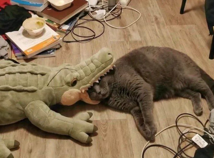 Please donate👉👈

send.monobank.ua/jar/4je6kCsqhF
PayPal v.titarenko@student.csn.khai.edu