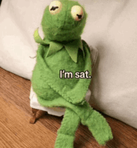 Misora【MUSICIAN】 tweet media