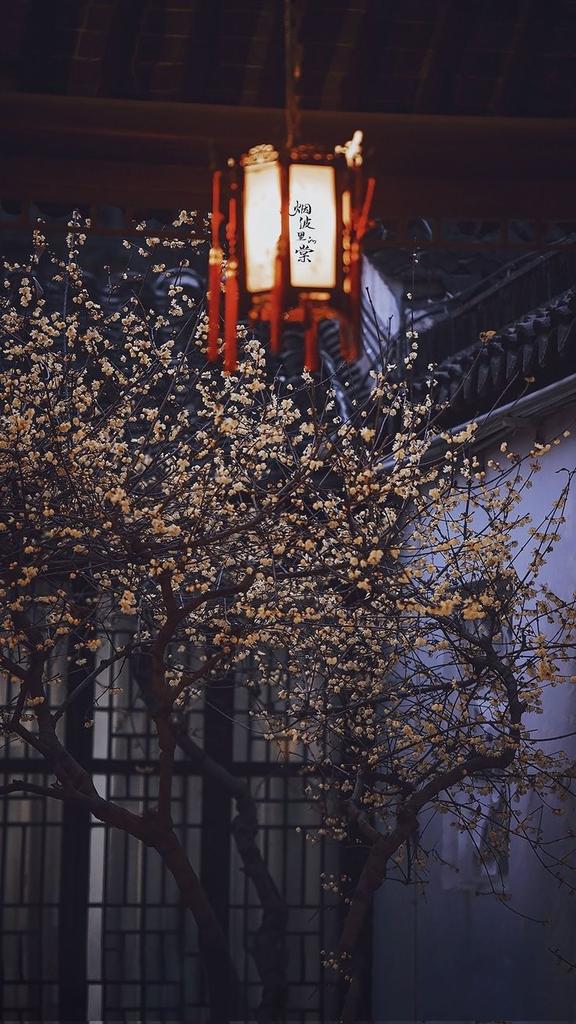 NSaliverou's tweet image. Through the night of promises,,,
,,,,
#world #images