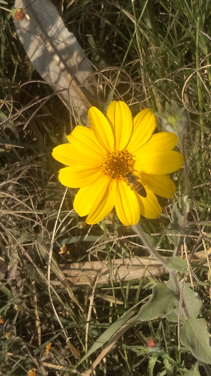 Muy bonito es la naturaleza 🥰😘excelente día
