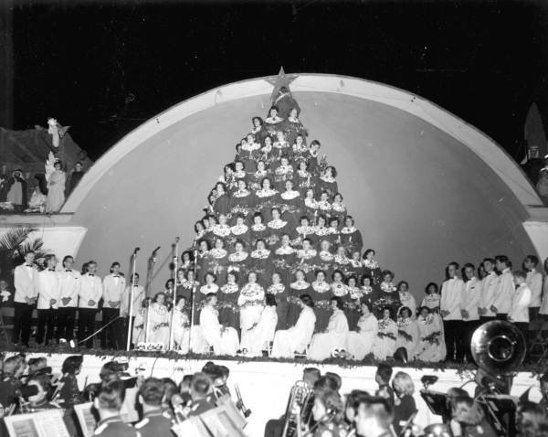 StateLibraryFL's tweet image. Look at these unique Christmas trees from our photograph collection! There’s a tree made from vegetables, one made from shells, an underwater tree and a singing Christmas tree. Truly festive indeed! #ChristmasTrees @FLMemory