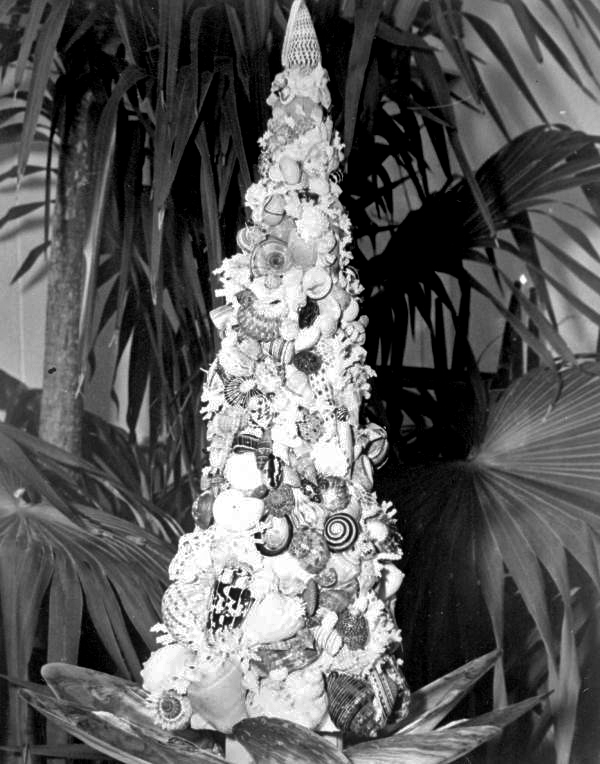 StateLibraryFL's tweet image. Look at these unique Christmas trees from our photograph collection! There’s a tree made from vegetables, one made from shells, an underwater tree and a singing Christmas tree. Truly festive indeed! #ChristmasTrees @FLMemory