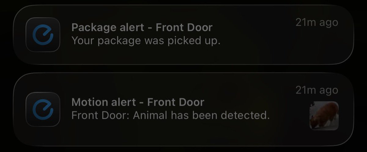 Evanosaurus “Unrawrl Engine 5.7” Rex tweet media