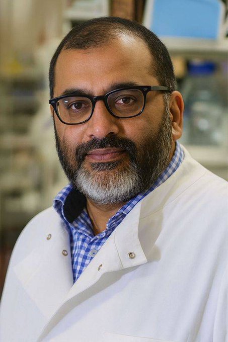 بروفيسور أشرف فريقه على تطوير علاج خلوي للسرطان متقدّم قائم على تعديل الجينات يجيب لـ«الشرق الأوسط» عن تساؤلات بشأن الجدل الأخلاقي المحيط بتعديل الجينات 