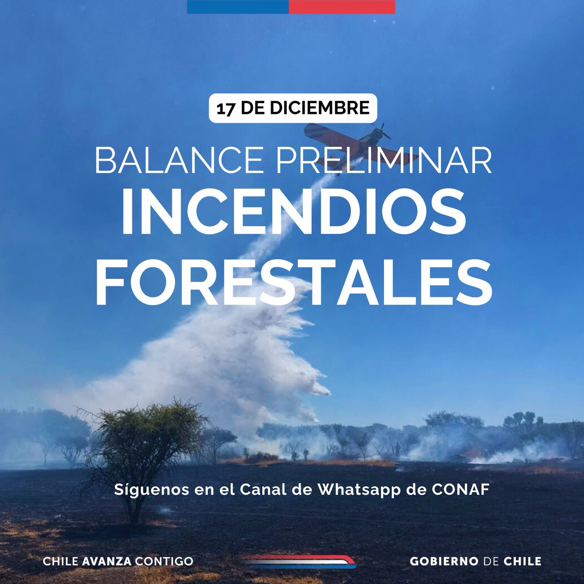 🔴#BALANCE | Hasta las 16:00 horas | Situación de los principales incendios forestales que se mantienen en combate en el país: 

▶️Región de Ñuble. Incendio El Quillay, en Chillán Viejo: con 2,5 hectáreas afectadas.
📌Recursos trabajando: 3 brigadas, 2 técnicos, 2 aviones