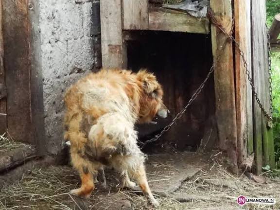 Piterson1980 tweet media