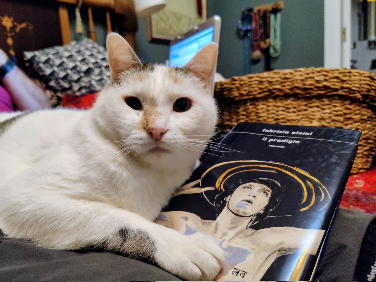 🔖“Chi l’avrebbe mai detto che dopo così tanti secoli saremmo tornati con ansia a scrutare il cielo, a decifrare i segni?”
📚
Fabrizio SINISI, 'Il prodigio' 
<a href="/Mondadori/">Mondadori</a>, agosto 2025.