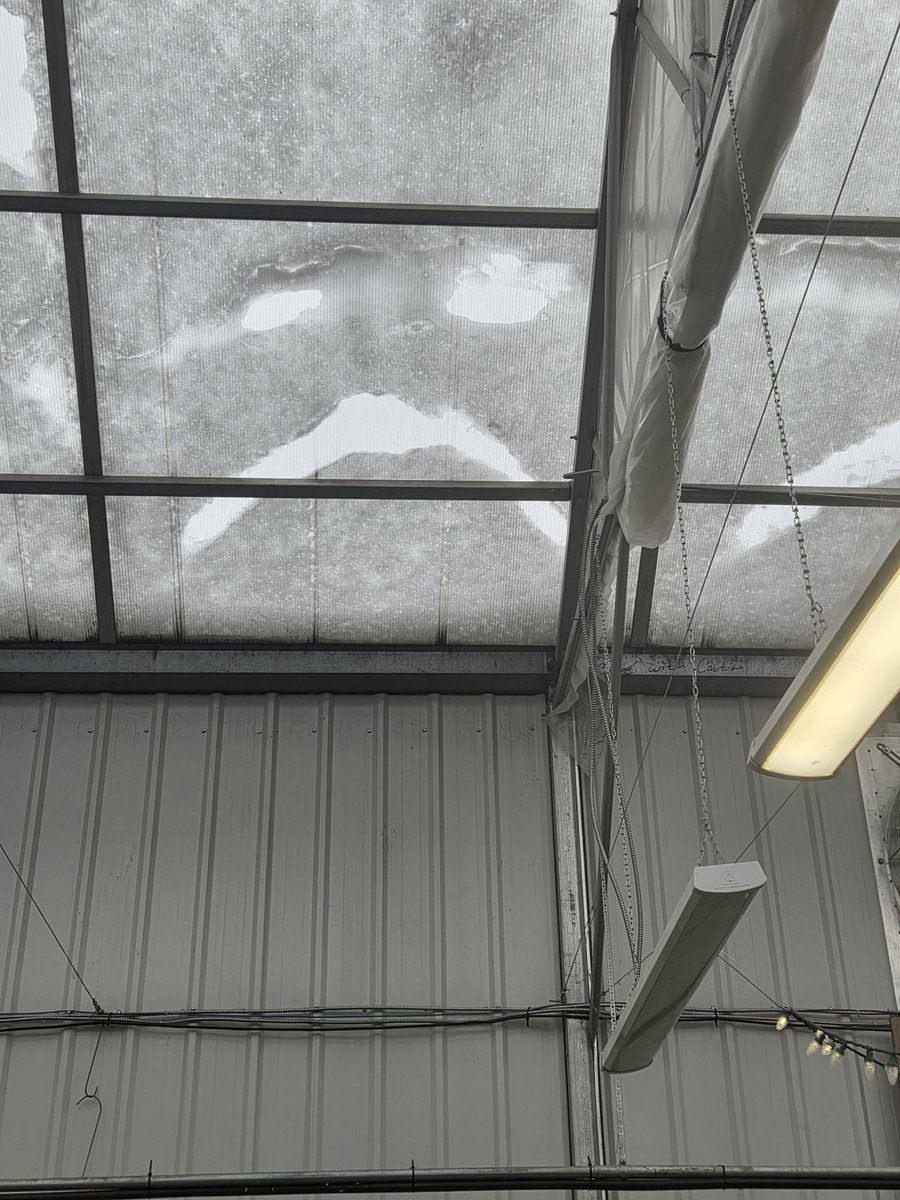 Glenn A. Stevenson tweet media